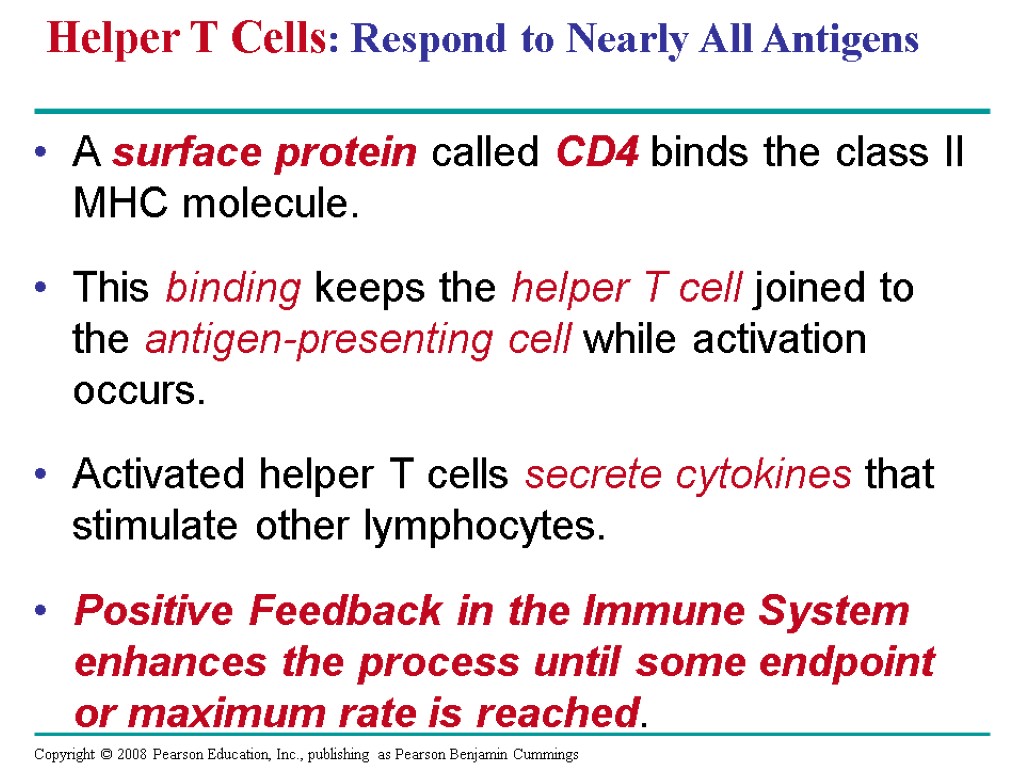 Helper T Cells: Respond to Nearly All Antigens A surface protein called CD4 binds